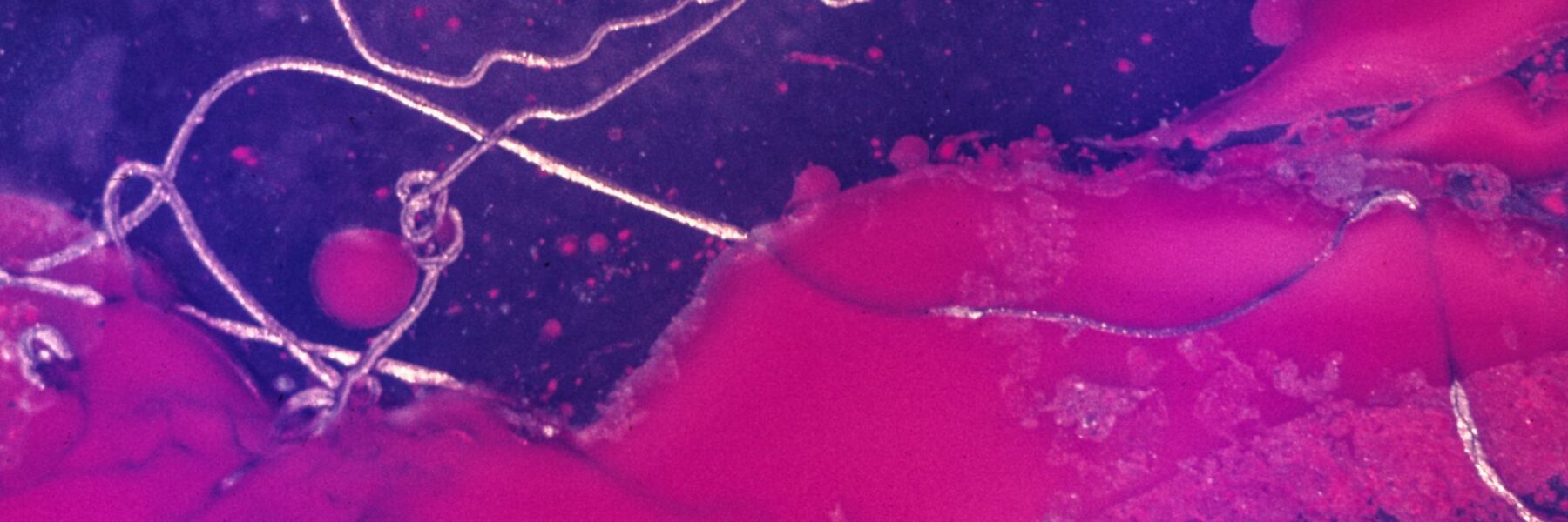 Abstract Art in Paint and Steel