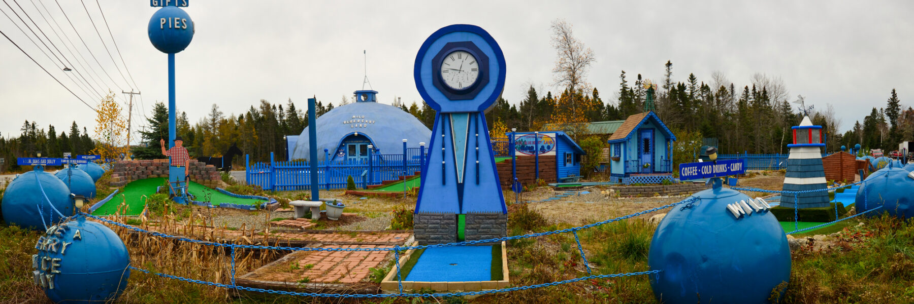 Wild Blueberry Land in Maine