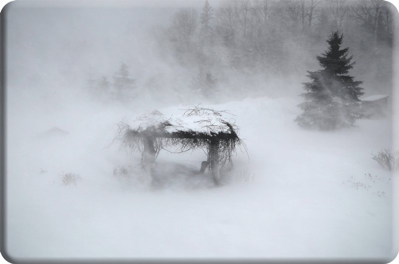 Webgraphic link to pages about weather events in New Brunswick.