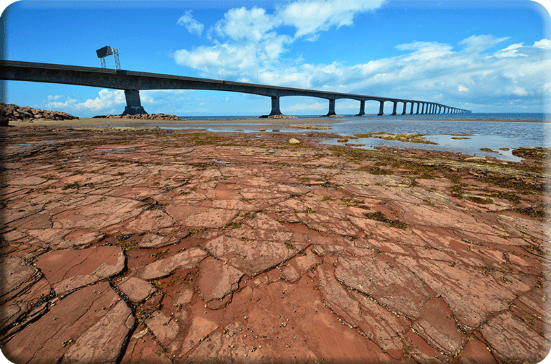 Webgraphic like to Road Trips pages.