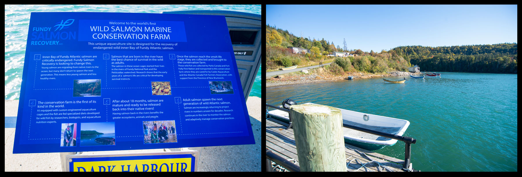 Image showing corner of the very large Wild Salmon Marine Conservation Farm at Dark Harbour, Grand Manan, NB.