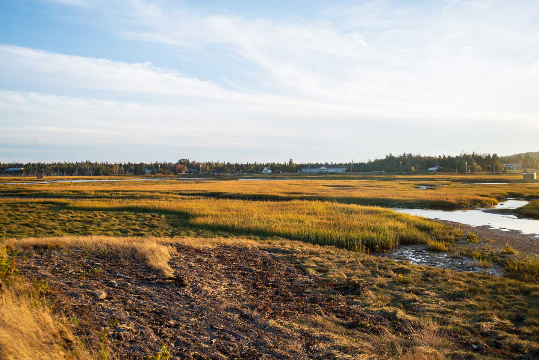 Image of the Castalia Marsh in late September at Castalia Provincial Park, Grand Manan, NB.