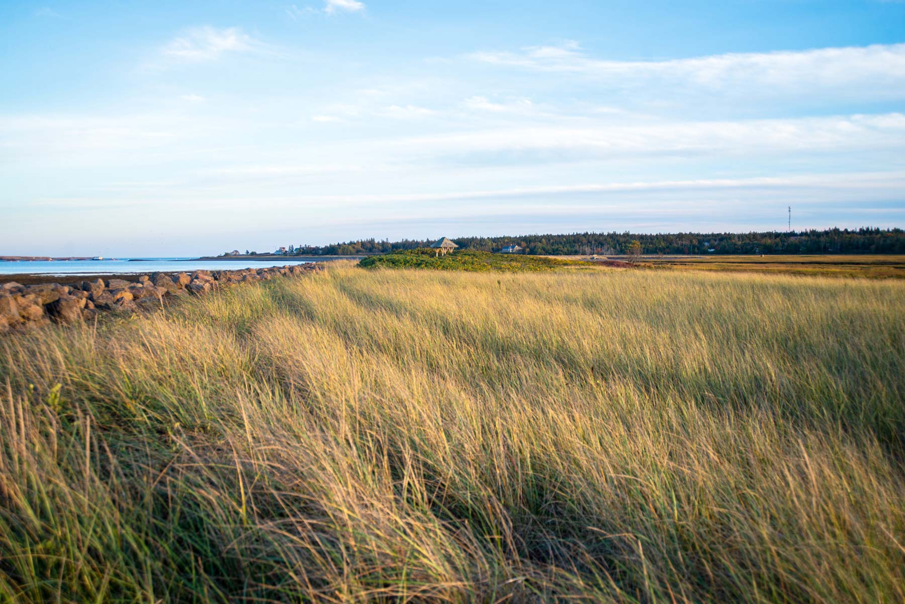 Image of the Castalia Marsh in late September at Castalia Provincial Park, Grand Manan, NB.
