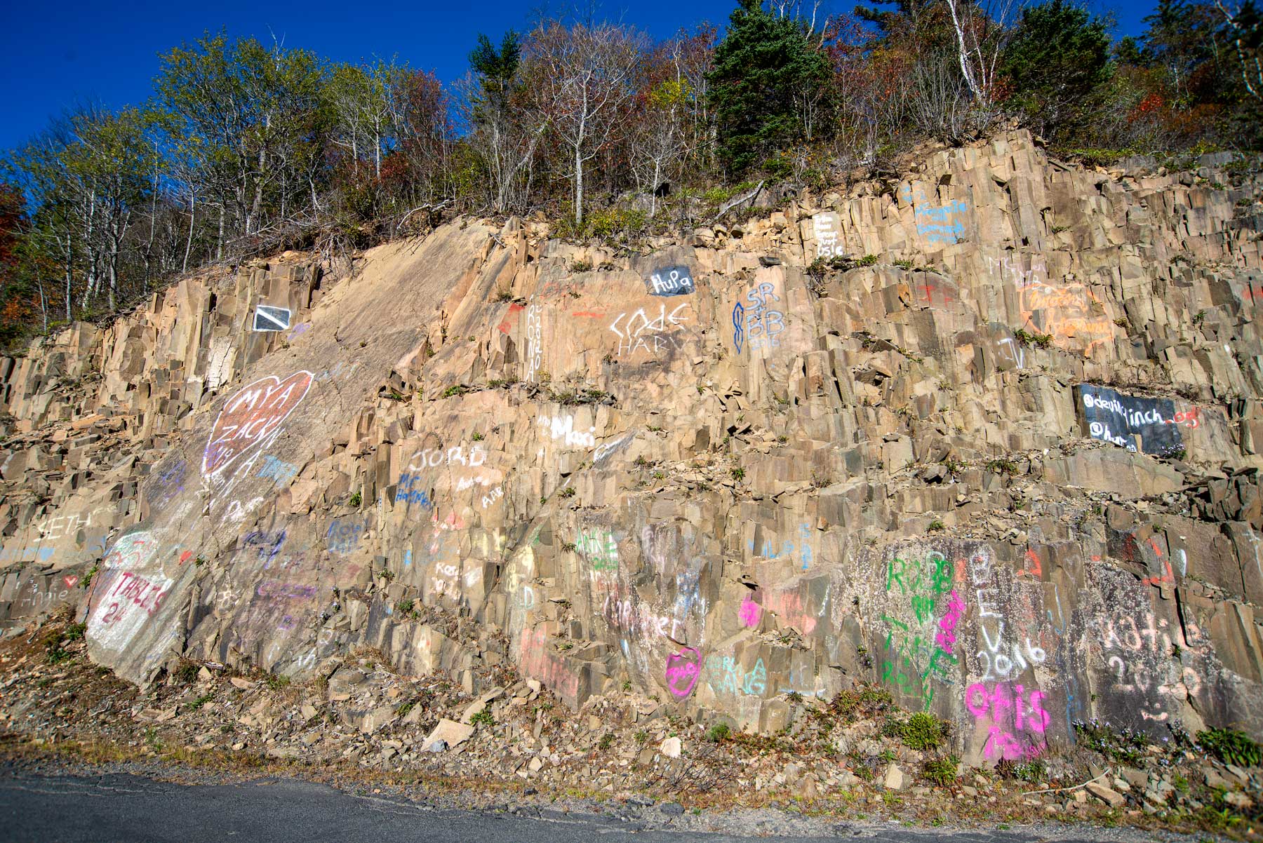 Image showing part of the basalt cliffs near Dark Harbour, Grand Manan, NB.
