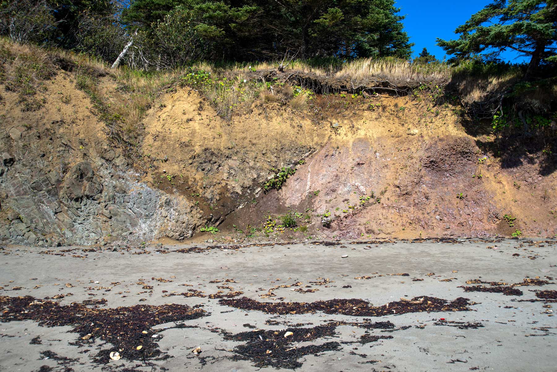 Image showing basalt type formations on the left meeting sedimentary formations on the right at Red Point beach on Grand Manan.