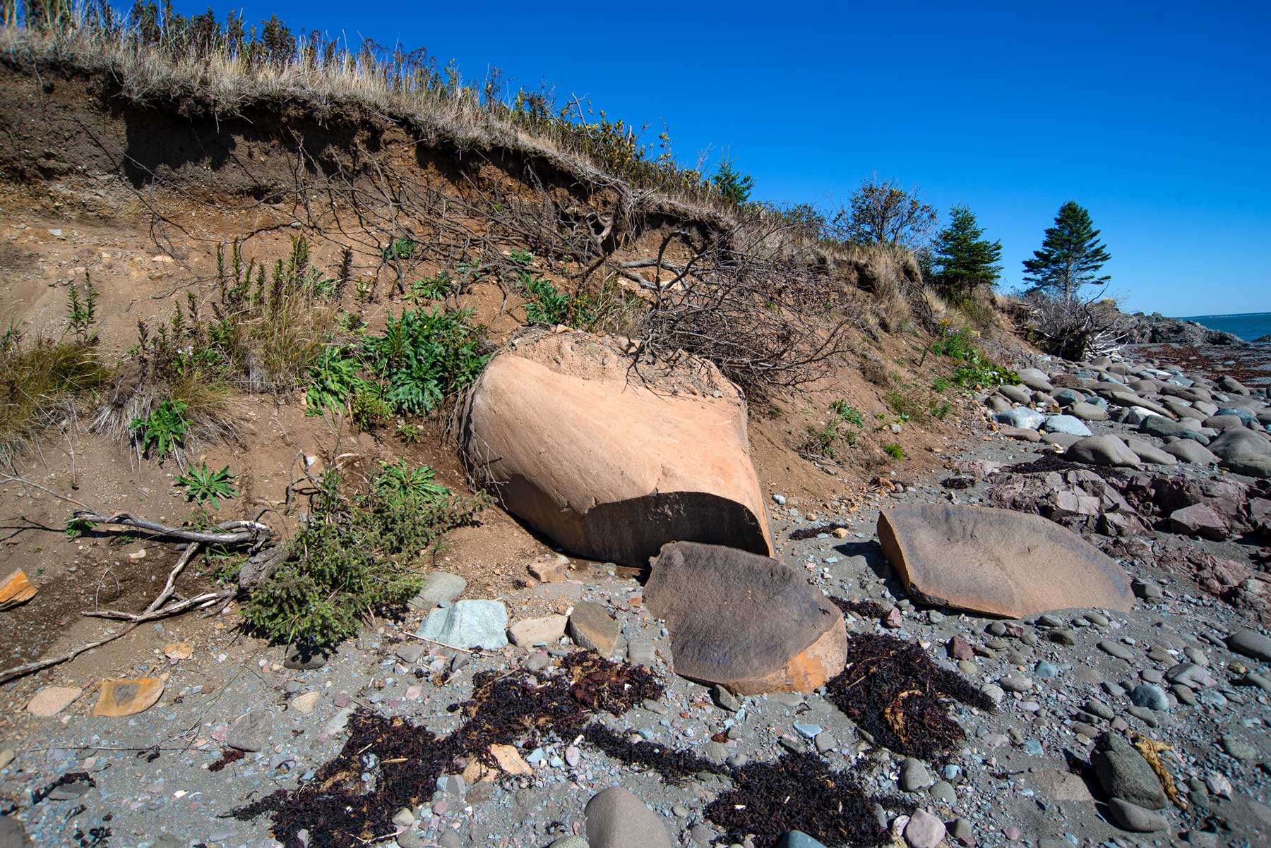 Image showing sedimentary deposits east of the fault line by Red Point in Grand Manan, NB.