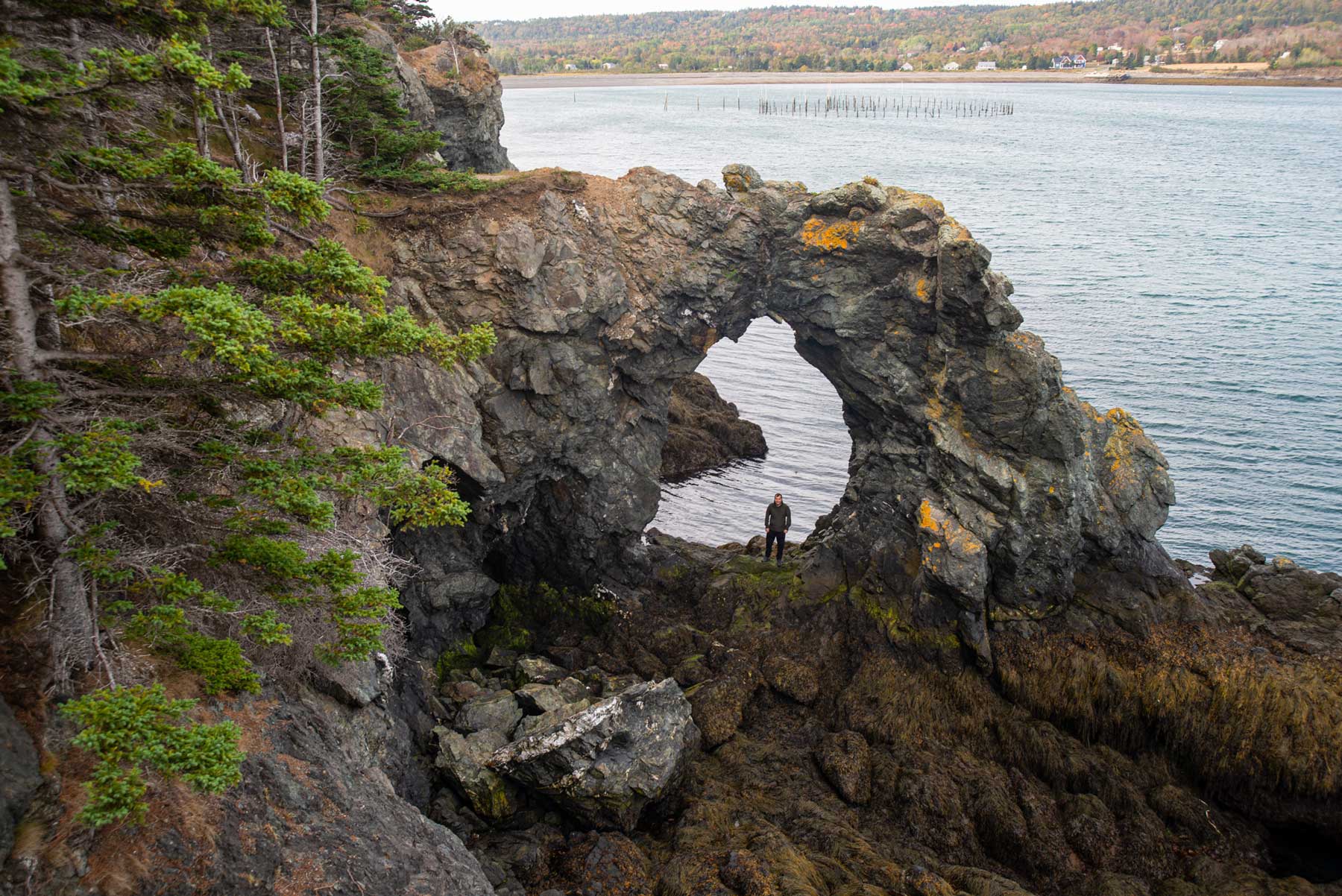 Image showing Perry Stewart standing in the Hoie-in-the-Wall rock formation at Grand Manan Island, NB.