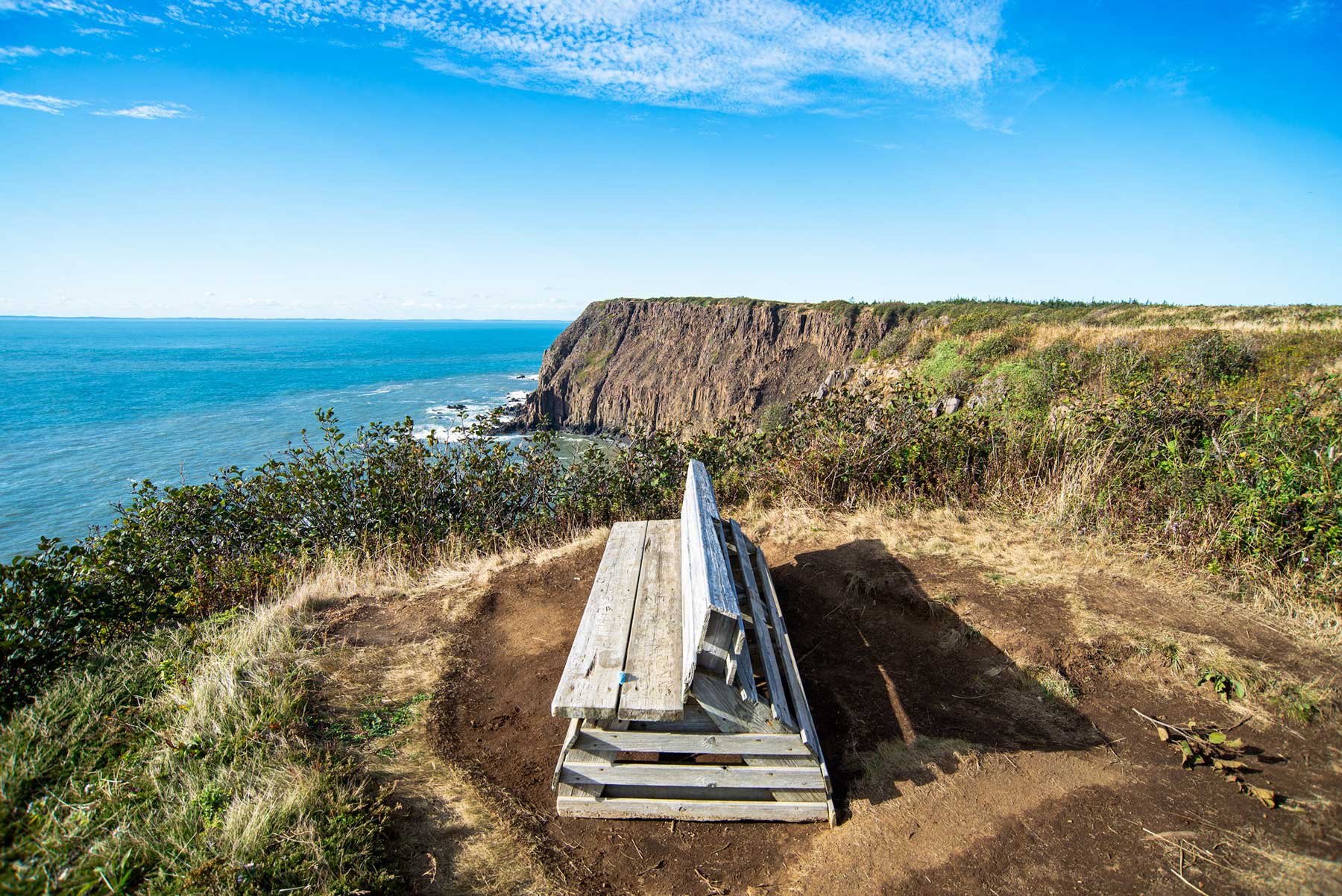 Image showing bench on trail just north of the Southwest Head Lighthouse at Grand Manan.