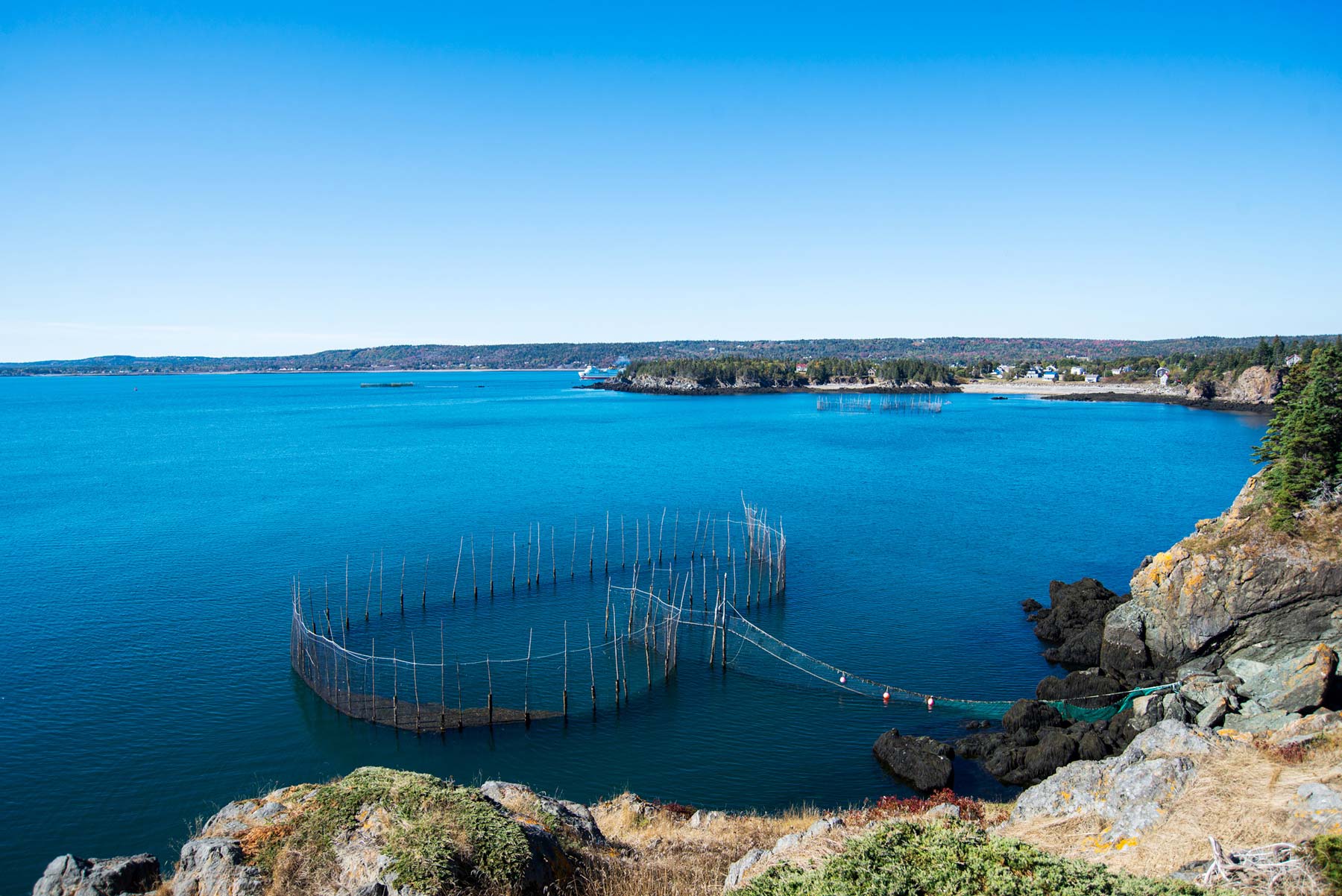 View of a herring weir beside the Swallowtail Lighthouse Station on Grand Manan, NB.