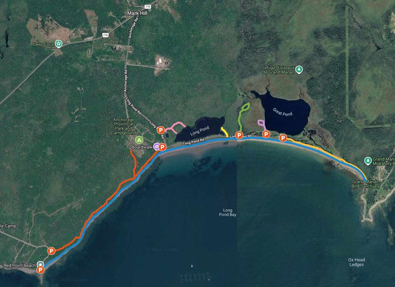 Screenshot of Hiking NB's page on Anchorage Provincial Park Trails in Grand Manan, NB.