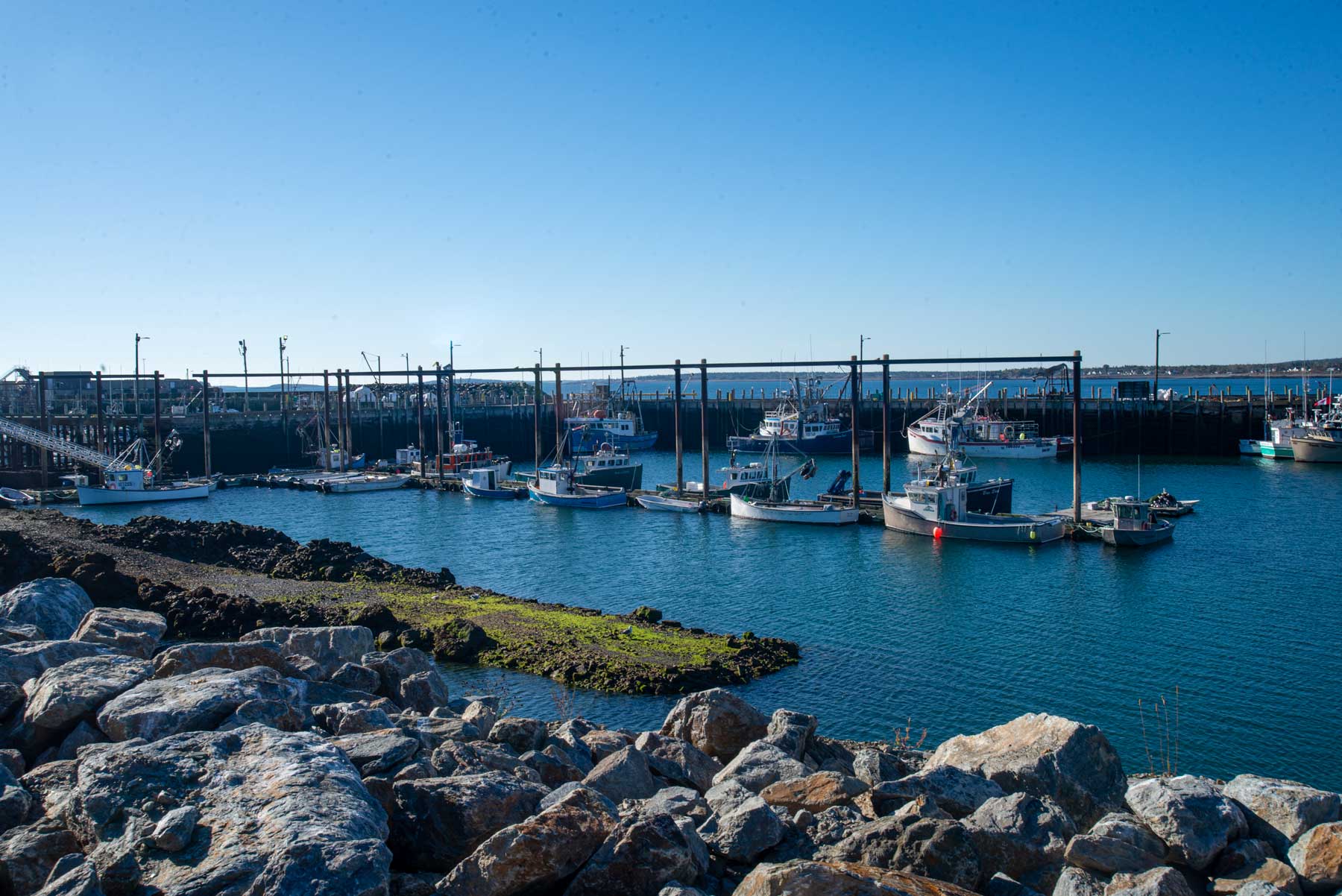 Boats tied at the North Head Harbour in Grand Manan, NB.