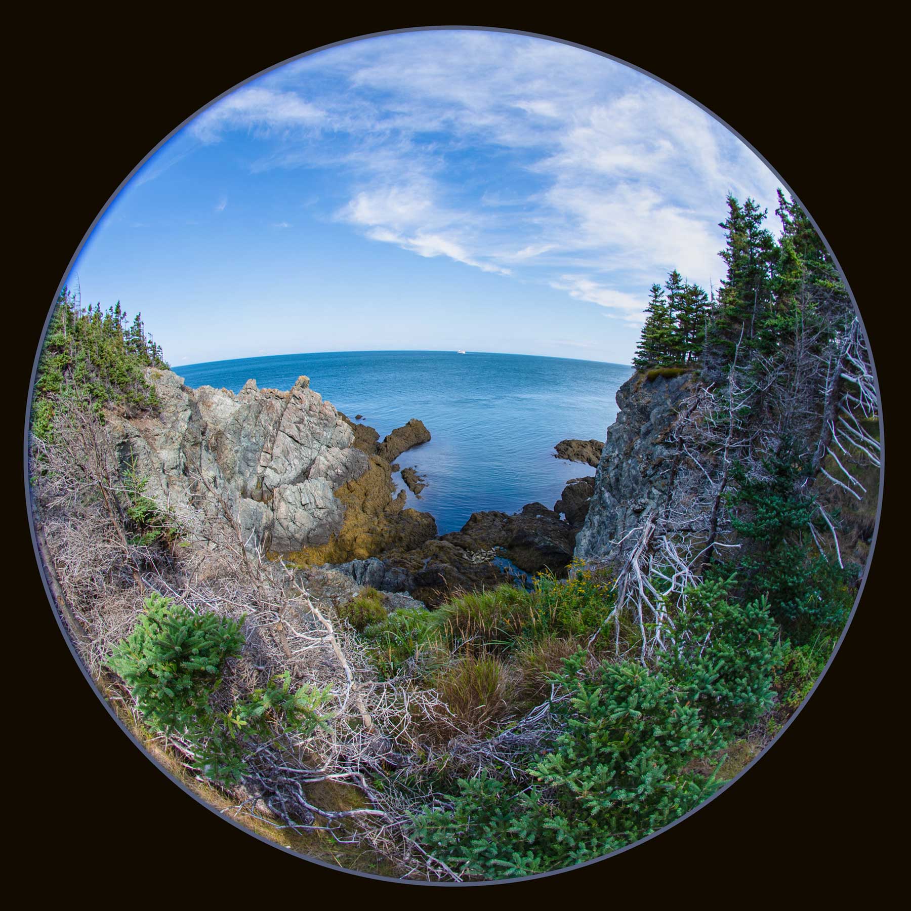 Image of one of the many scenes on the trail to the Fish Head Formation, Grand Manan, NB.